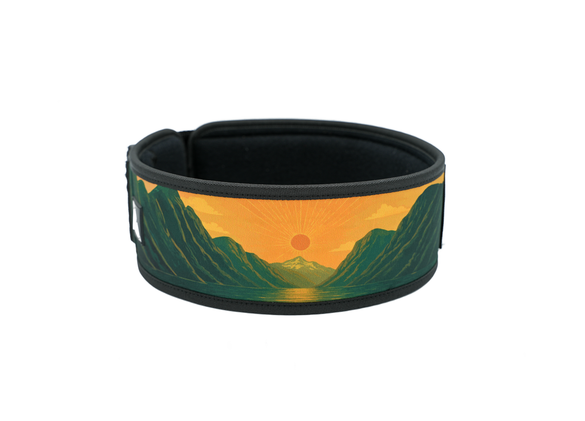 Ceinture d’haltérophilie 4 pouces RYLIX FJORD pour musculation et powerlifting