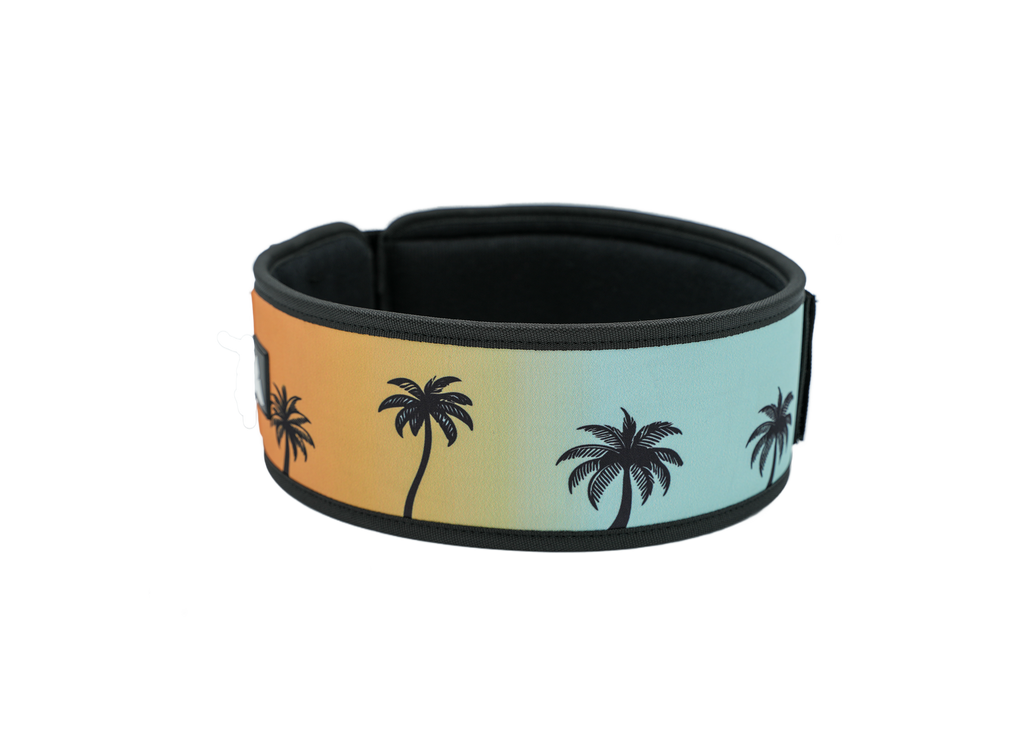 Ceinture d’haltérophilie 4 pouces RYLIX PALMIER pour musculation et powerlifting