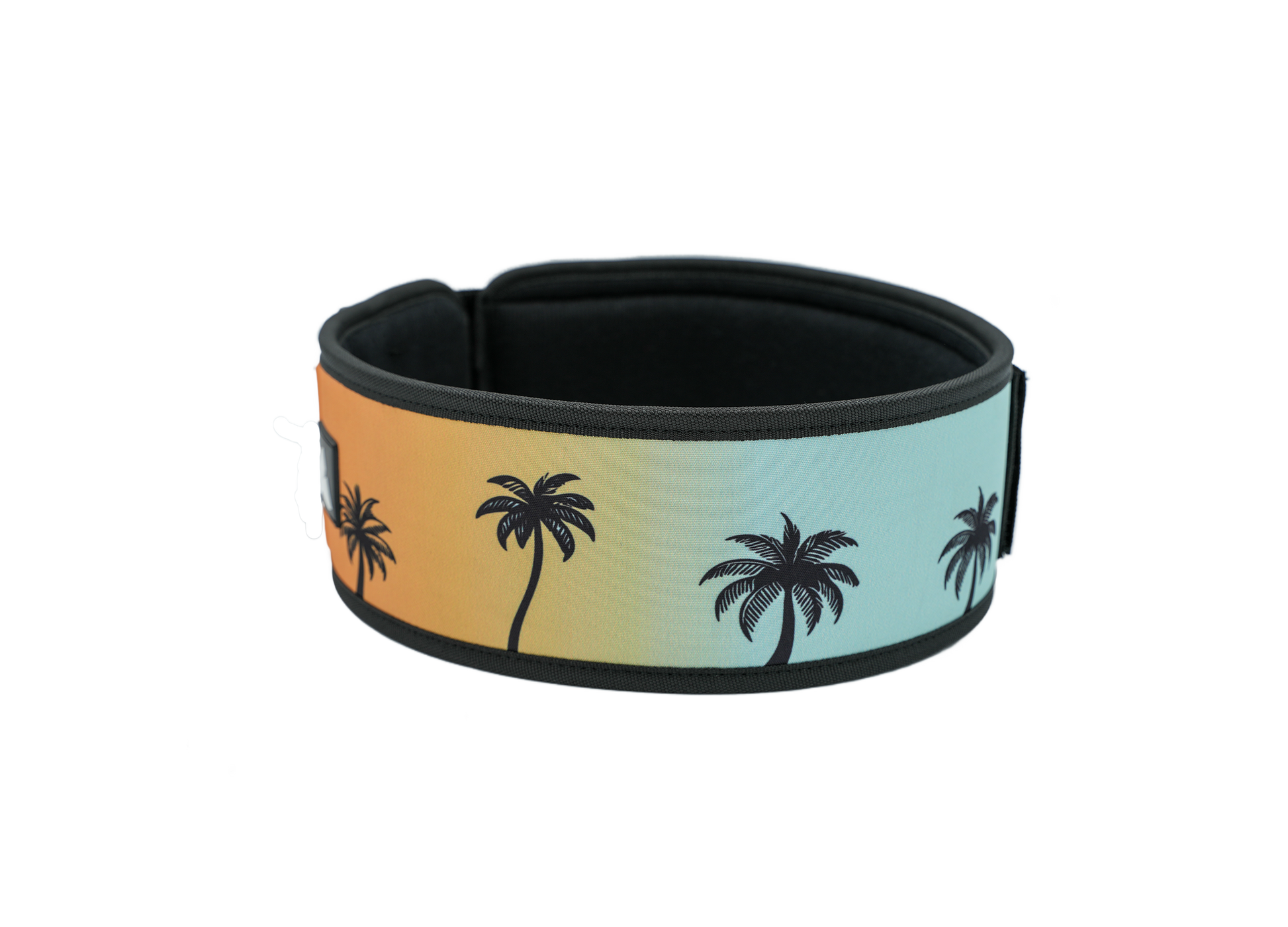 Ceinture d’haltérophilie 4 pouces RYLIX PALMIER pour musculation et powerlifting